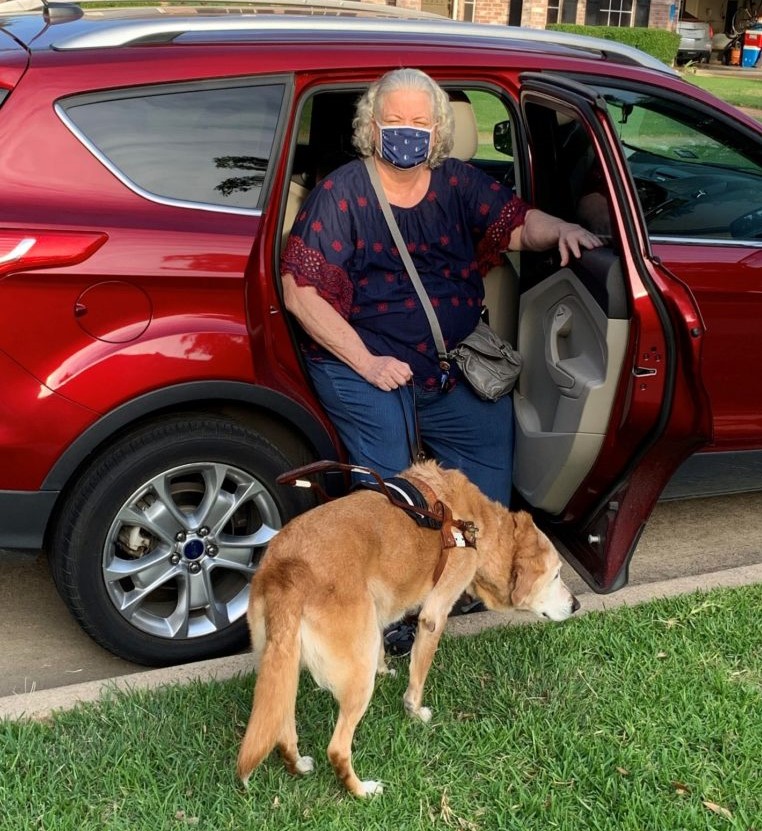 woman getting out of rideshare car, wearing mask, and with a guide dog