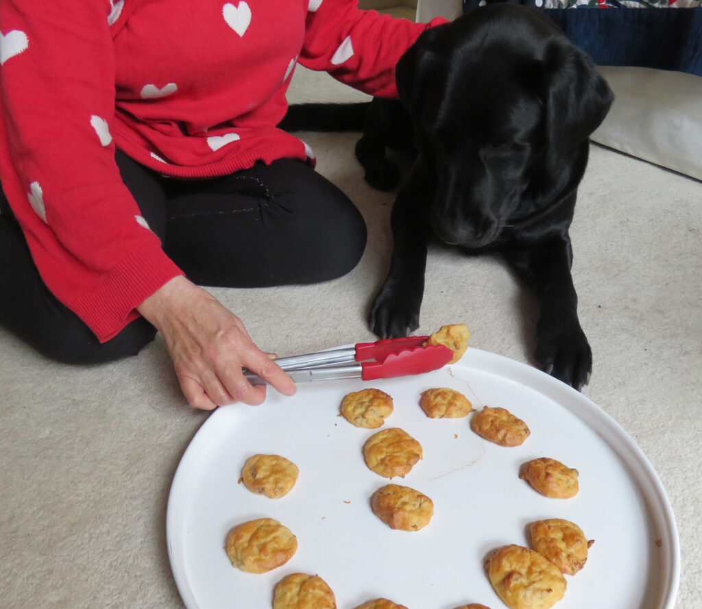 Maribel on floor next to Dindi who is also on the floor looking at a tray of doggie treats. Maribel is picking up a treat with a pair of tongs and offering the treat to Dindi