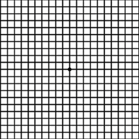 Amsler grid as seen with normal vision