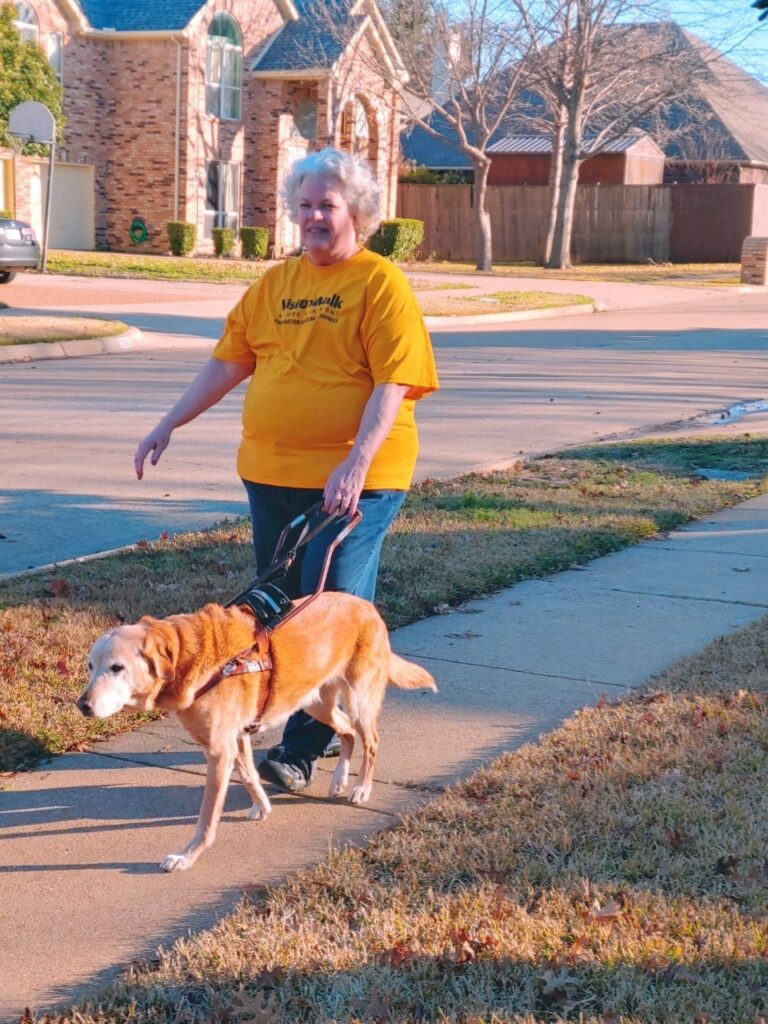 woman walking on sidewalk with guide dog