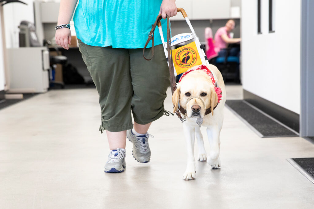 woman walking with guide dog in office setting
