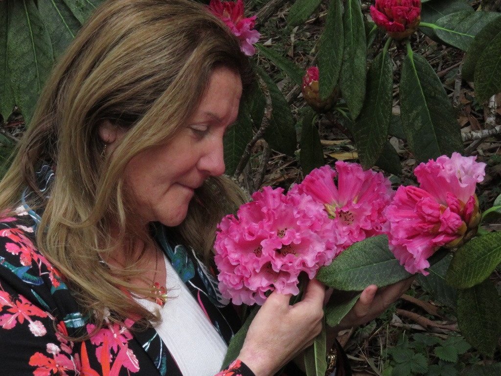 woman smelling and touching bush with pink flowers