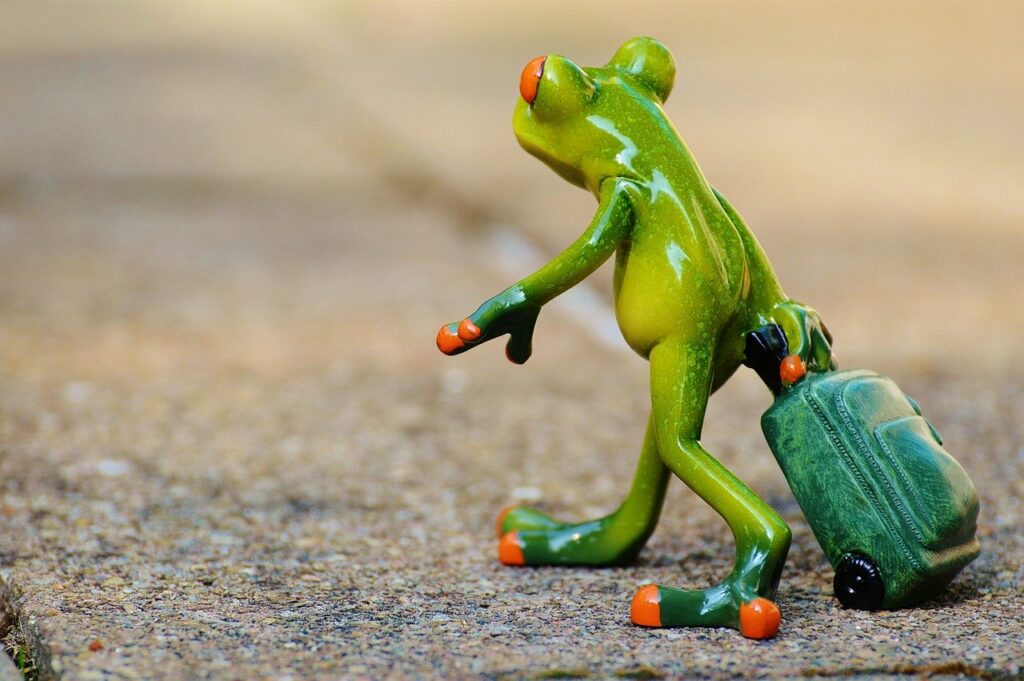 A frog character walks away carrying a suitcase. 