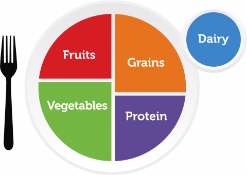 Healthy Eating Plate large portion of Vegetables and smaller portions of Fruits, Grains, and Protein