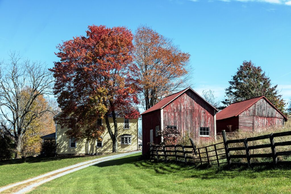 house with two red roofed barns and fall foliage